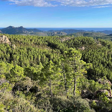 Villa Ormarine, Vue Exceptionnelle Sur La Baie De Cannes Et Le Mercantour Les Adrets-de-l’Estérel Exterior foto