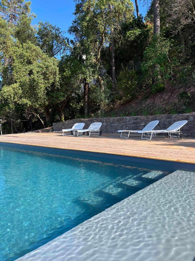 Villa Ormarine, Vue Exceptionnelle Sur La Baie De Cannes Et Le Mercantour Les Adrets-de-l’Estérel Exterior foto
