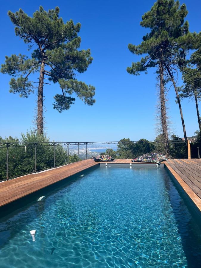 Villa Ormarine, Vue Exceptionnelle Sur La Baie De Cannes Et Le Mercantour Les Adrets-de-l’Estérel Exterior foto